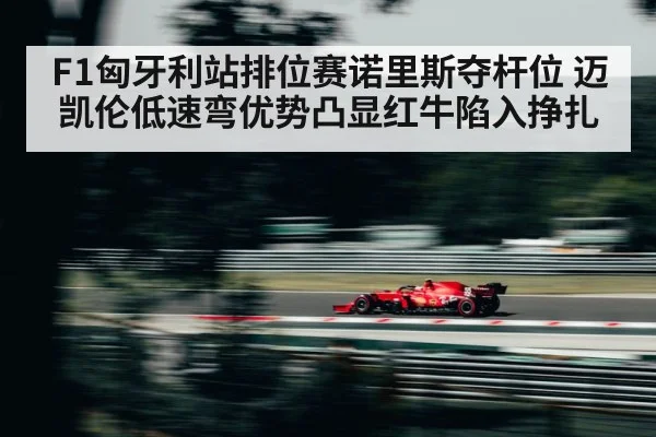 F1匈牙利站排位赛诺里斯夺杆位 迈凯伦低速弯优势凸显红牛陷入挣扎